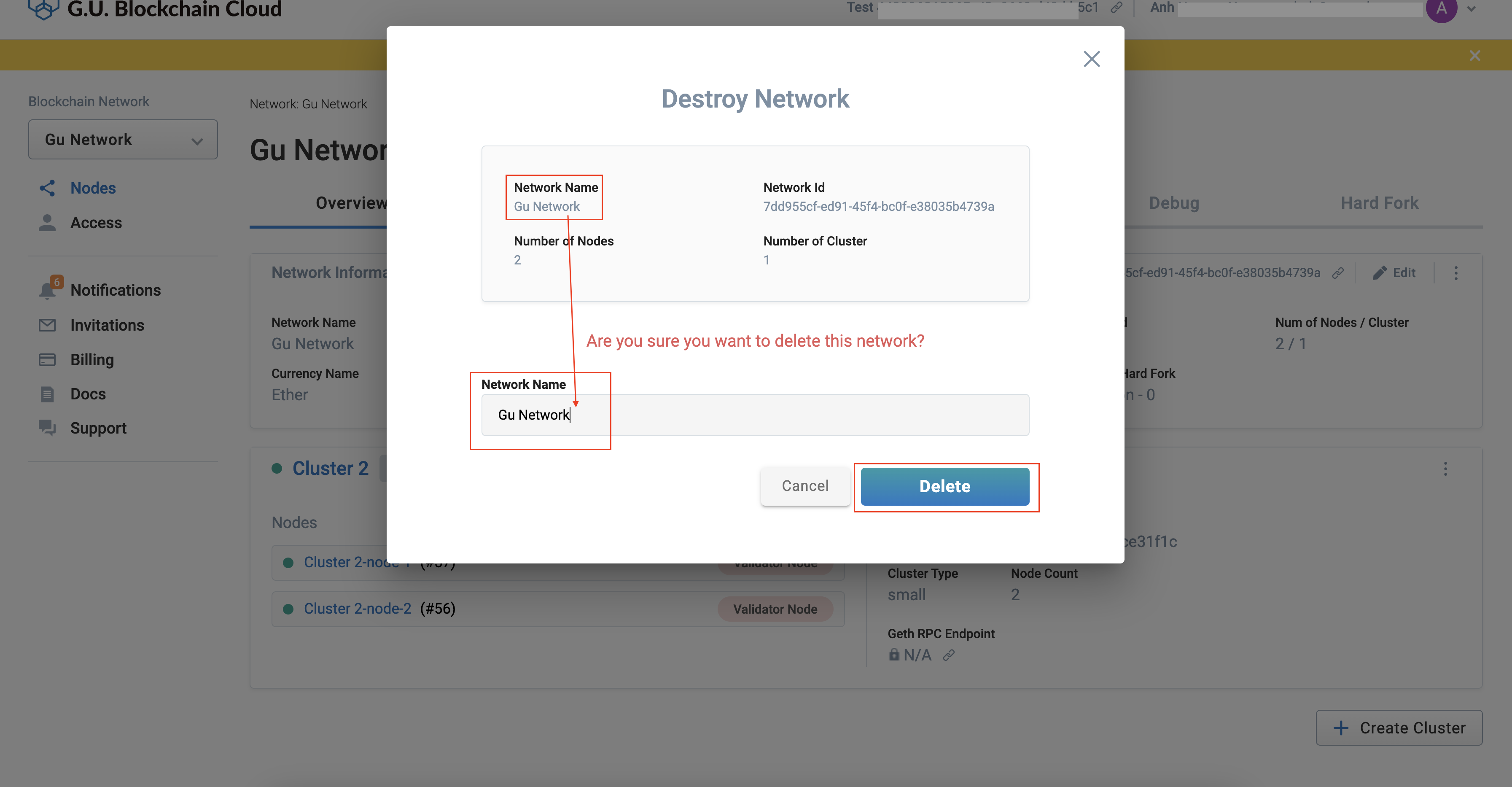 Input Network Name